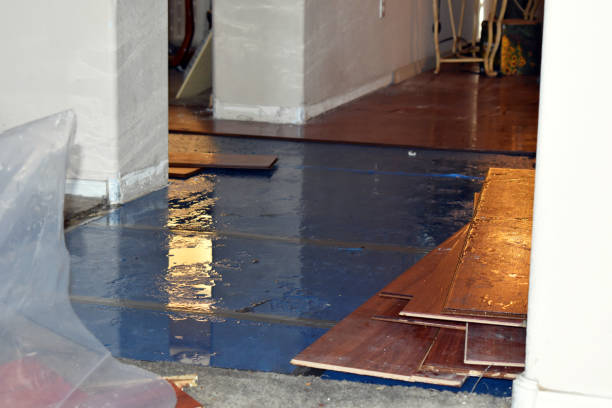 Professional Sewage Cleanup technician working in Lebanon, CT